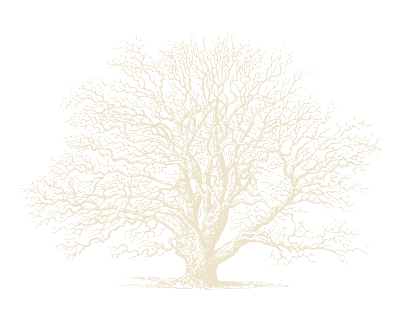 Je suis un junky d'authenticité. #20